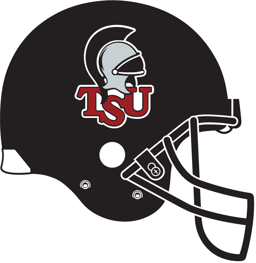 Troy Trojans 1999-2003 Helmet diy DTF decal sticker